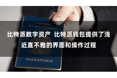 比特派数字资产 比特派钱包提供了浅近直不雅的界面和操作过程