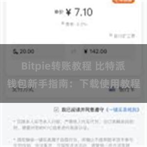 Bitpie转账教程 比特派钱包新手指南：下载使用教程