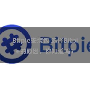 Bitpie安装包 选择Bitpie的原因，你知道吗？