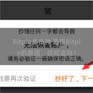 Bitpie多币种 选择Bitpie的原因，你知道吗？