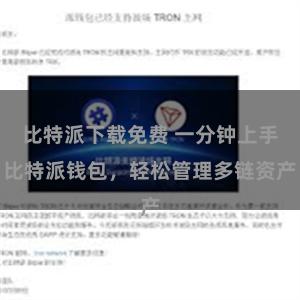 比特派下载免费 一分钟上手比特派钱包，轻松管理多链资产