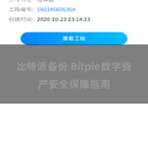 比特派备份 Bitpie数字资产安全保障指南