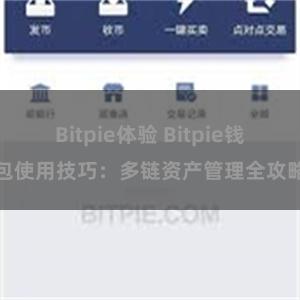 Bitpie体验 Bitpie钱包使用技巧：多链资产管理全攻略