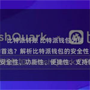 比特派转账 比特派钱包为何是专业用户的首选？解析比特派钱包的安全性、功能性、便捷性、支持性等优势。