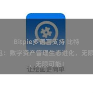 Bitpie多语言支持 比特派钱包：数字资产管理生态进化，无限可能！