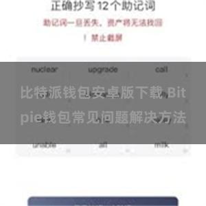 比特派钱包安卓版下载 Bitpie钱包常见问题解决方法