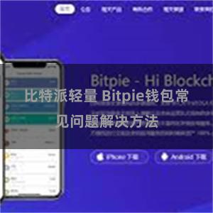 比特派轻量 Bitpie钱包常见问题解决方法