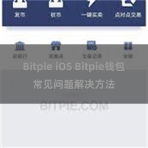 Bitpie iOS Bitpie钱包常见问题解决方法