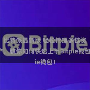 比特派最新版 轻松管理多链资产，教你如何快速上手Bitpie钱包！