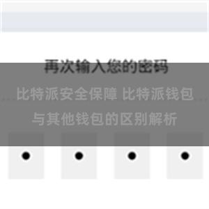 比特派安全保障 比特派钱包与其他钱包的区别解析