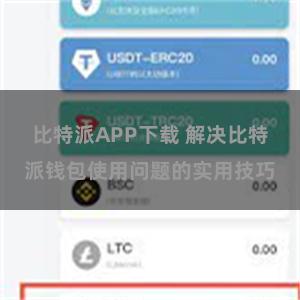 比特派APP下载 解决比特派钱包使用问题的实用技巧