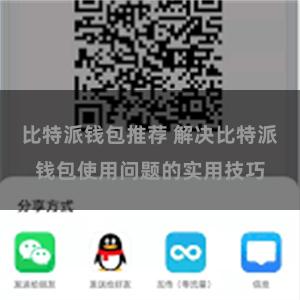 比特派钱包推荐 解决比特派钱包使用问题的实用技巧