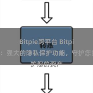 Bitpie跨平台 Bitpie钱包：强大的隐私保护功能，守护您的资产