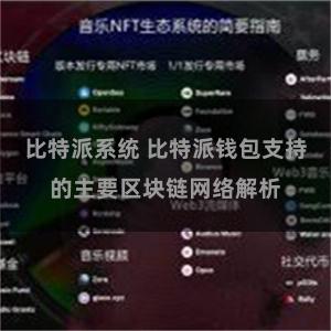 比特派系统 比特派钱包支持的主要区块链网络解析