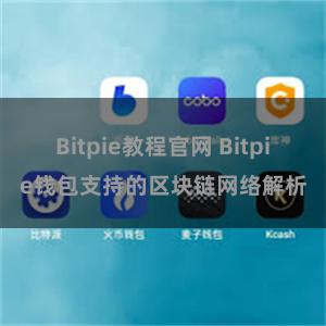 Bitpie教程官网 Bitpie钱包支持的区块链网络解析