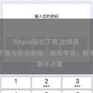 Bitpie轻松下载 比特派钱包下载与安装教程：轻松学会，新手必看