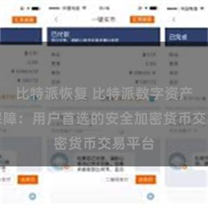 比特派恢复 比特派数字资产安全保障：用户首选的安全加密货币交易平台