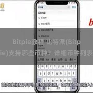 Bitpie教程 比特派(Bitpie)支持哪些币种？详细币种列表