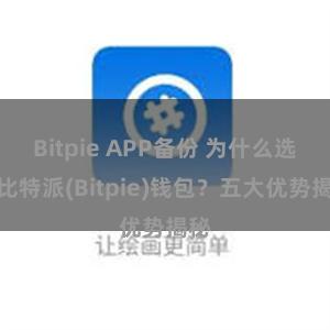 Bitpie APP备份 为什么选择比特派(Bitpie)钱包？五大优势揭秘