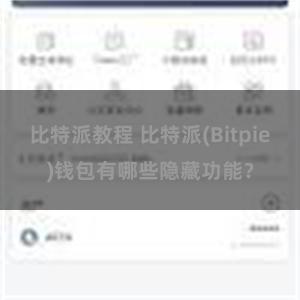 比特派教程 比特派(Bitpie)钱包有哪些隐藏功能？