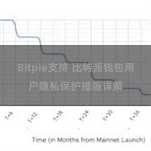 Bitpie支持 比特派钱包用户隐私保护措施详解