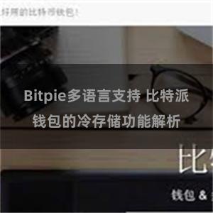 Bitpie多语言支持 比特派钱包的冷存储功能解析