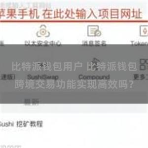 比特派钱包用户 比特派钱包跨境交易功能实现高效吗？