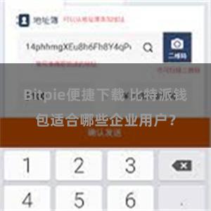 Bitpie便捷下载 比特派钱包适合哪些企业用户？