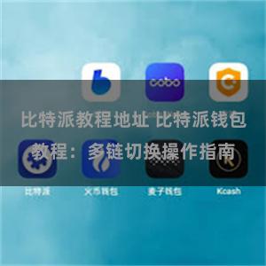 比特派教程地址 比特派钱包教程：多链切换操作指南