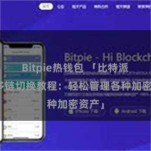 Bitpie热钱包 「比特派钱包多链切换教程：轻松管理各种加密资产」