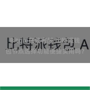 Bitpie在线客服 比特派钱包节点选择功能便捷实用吗？