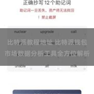 比特派教程地址 比特派钱包市场数据分析工具全方位解析