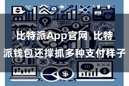 比特派App官网  比特派钱包还撑抓多种支付样子
