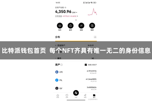 比特派钱包首页 每个NFT齐具有唯一无二的身份信息