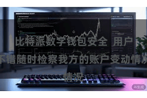 比特派数字钱包安全  用户不错随时检察我方的账户变动情况